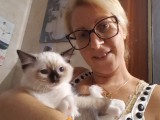 Cuccioli di Jennifer e Walnetto nati il 28 marzo 2017