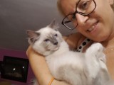 Cuccioli di Jennifer e Walnetto nati il 28 marzo 2017