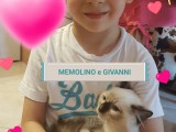 Cuccioli di Jennifer e Walnetto nati il 28 marzo 2017